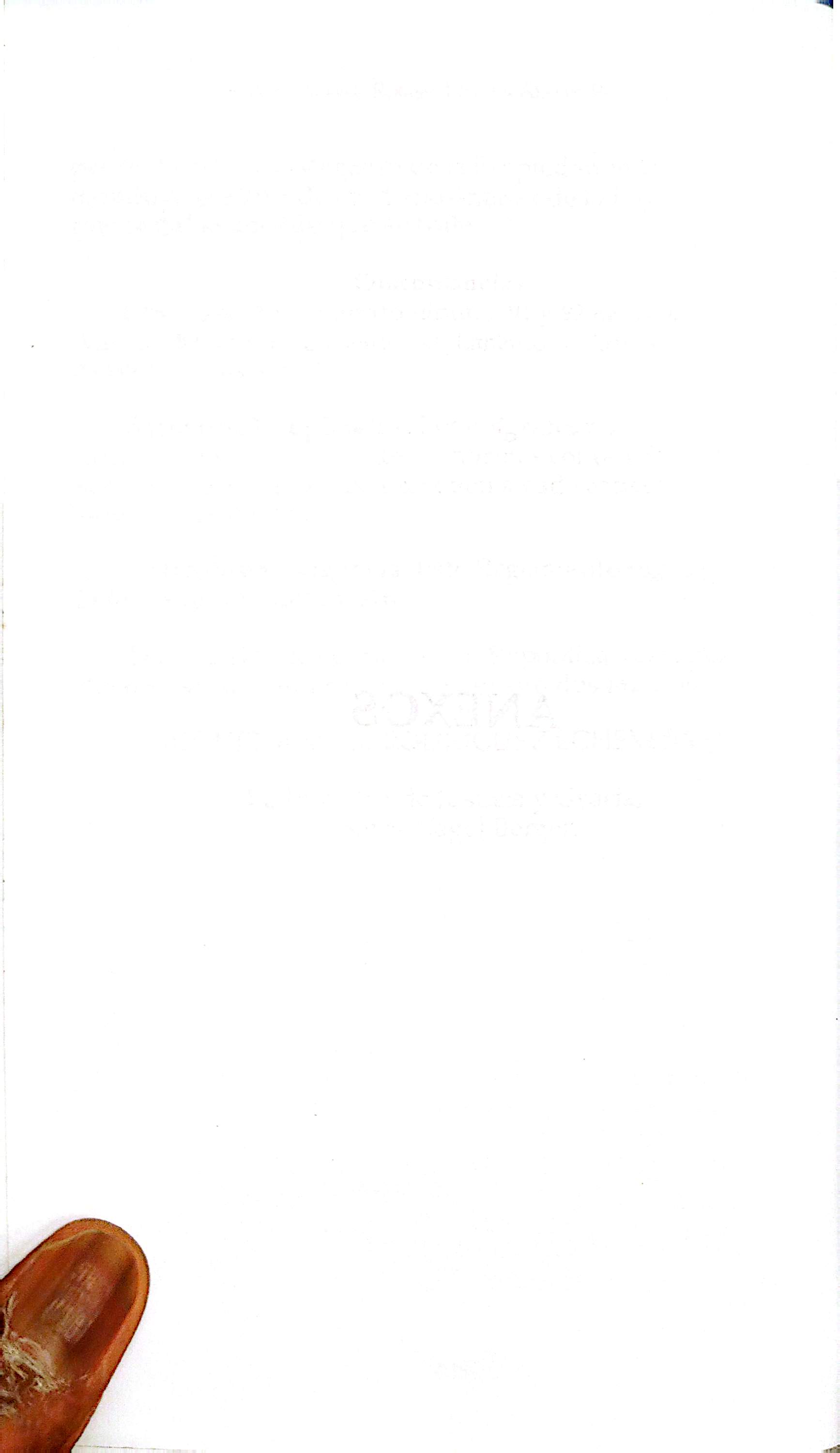 Página 118